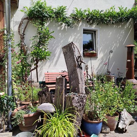 Gartenzimmer Mit Strassenbahn Zu Dom Und Messe Кёльн Экстерьер фото